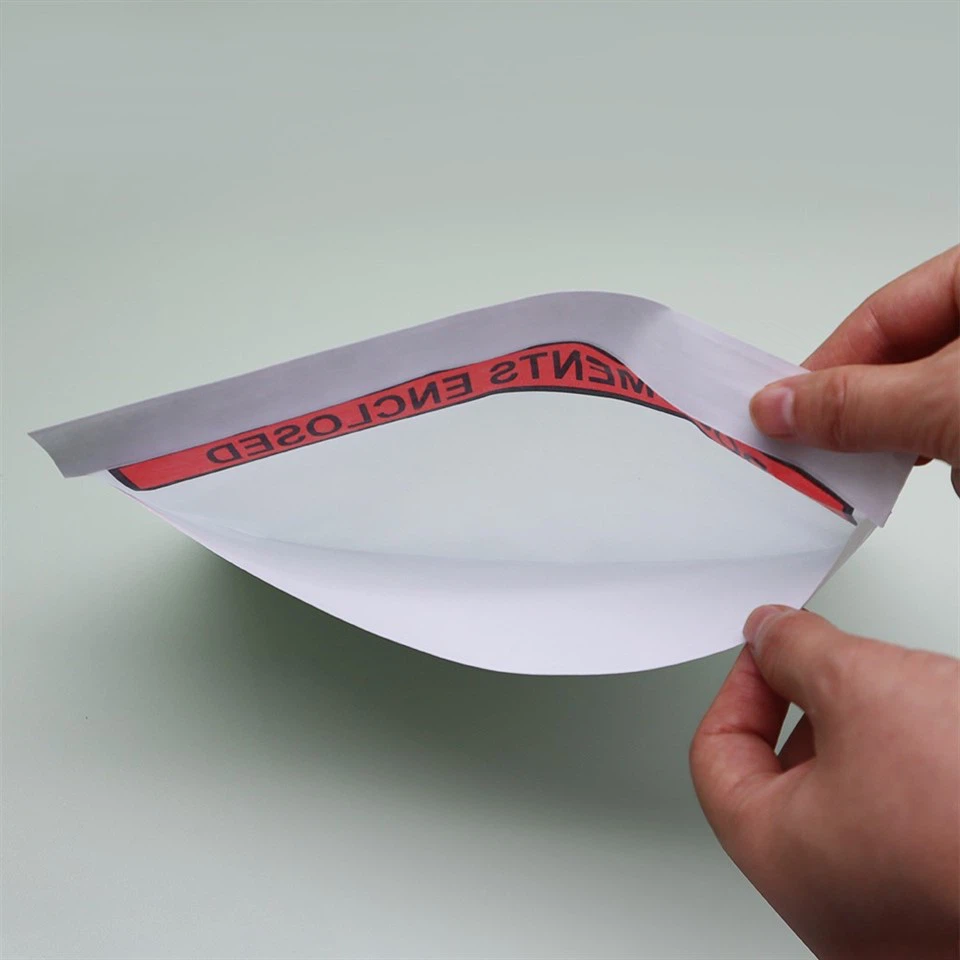 Paper document bag