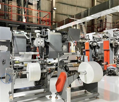 Toekomstige trends in de sector van plastic verpakkingstassen in 2026: innova...